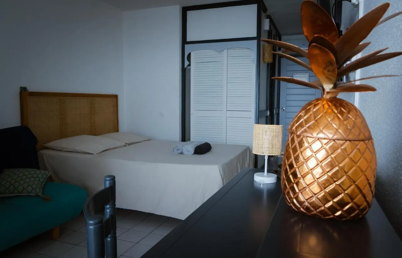 Apartment Studio Gap Le Diamant Martinique
