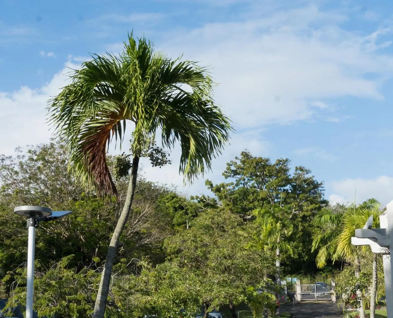 Studio Gap Le Diamant 0*,  Martinique
